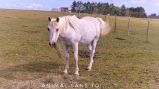 En savoir plus sur Emir