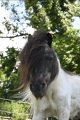 En savoir plus sur Bandit